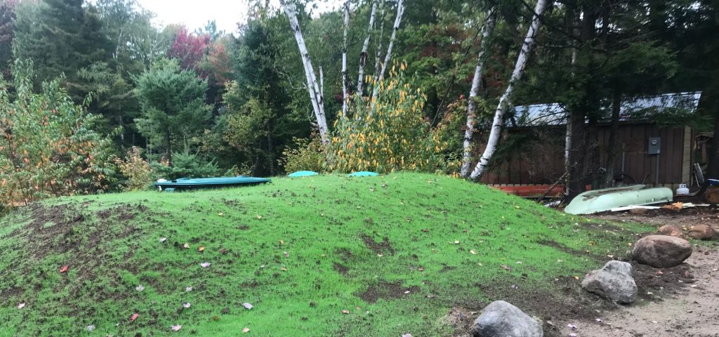 A small, grassy hill with scattered fallen leaves stands in the foreground. Behind it are birch and pine trees with some autumn foliage. Green kayaks and a shed or cabin are partially visible among the trees. Large rocks are near the base of the hill. Greenleaf Excavation Muskoka